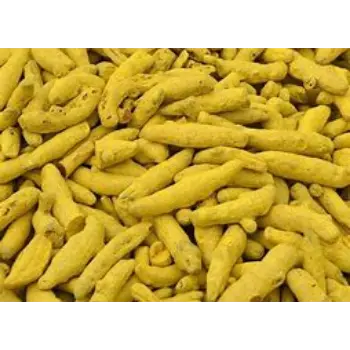 Organic Turmeric Finger Exporter
