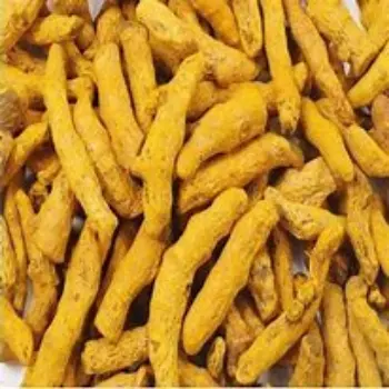 Turmeric Finger Supplier