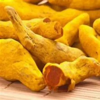 Turmeric Finger