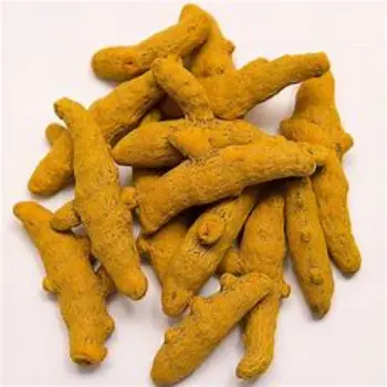 Organic  Turmeric Finger