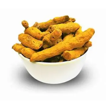 Fresh Turmeric Finger Manufacturer
