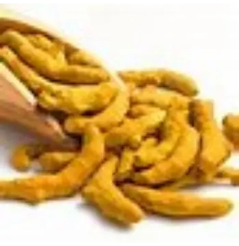 Fresh Turmeric Finger