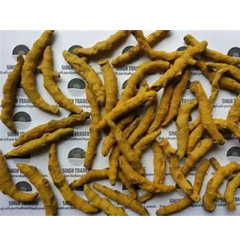 Fresh Turmeric Finger