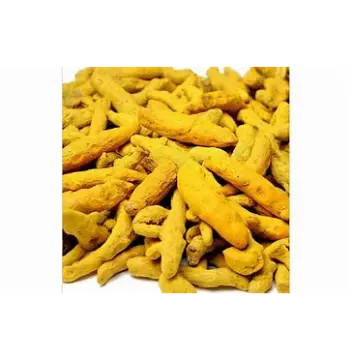 Natural Turmeric Finger Manufacturer 
