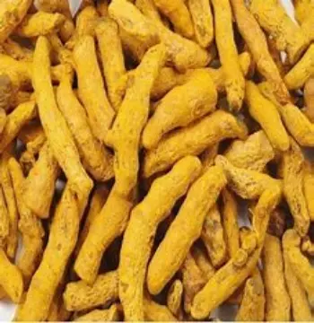 Organic Turmeric Finger Wholesaler