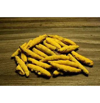 Fresh Turmeric Finger