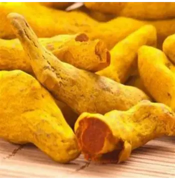Fresh Turmeric Finger