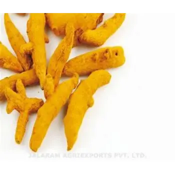 Fresh Turmeric Finger