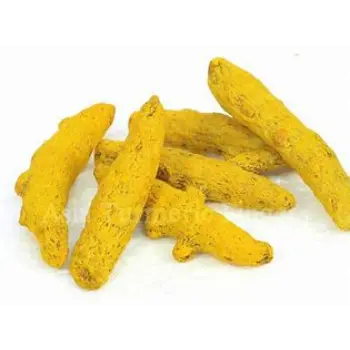 Fresh Turmeric Finger