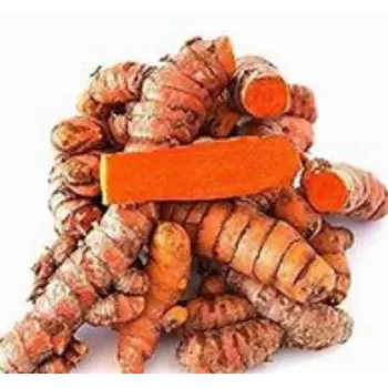 Organic Turmeric Roots Wholeslaer