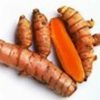 Turmeric Roots Manufacturer