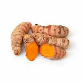 Turmeric Roots Exporter