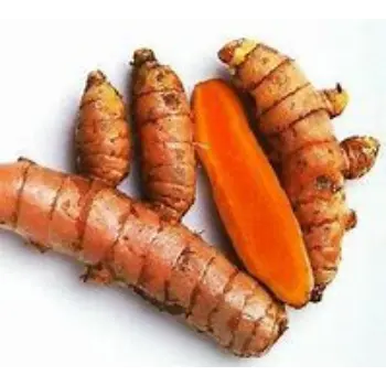  Organic Turmeric Roots Supplier