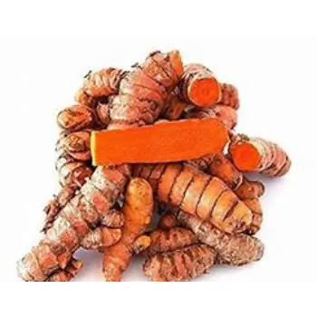 Turmeric Roots