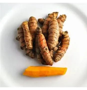 Fresh Turmeric Roots Trader