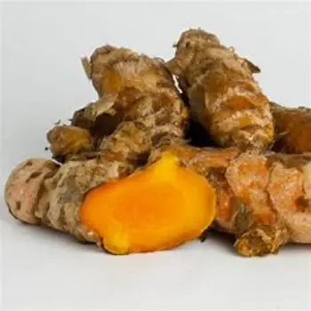 Turmeric Roots