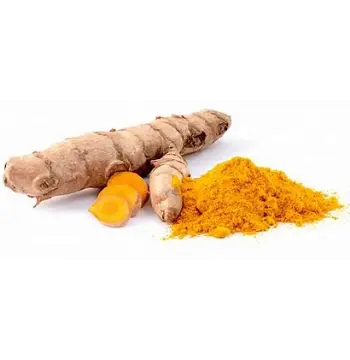 Fresh Turmeric Roots