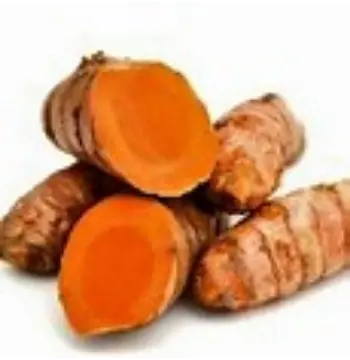 Fresh Turmeric Roots