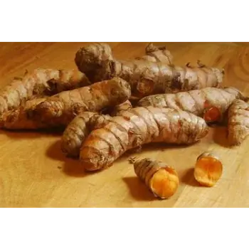 Turmeric Roots