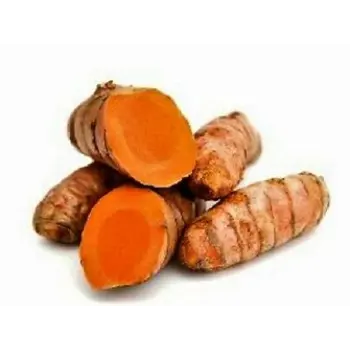 Turmeric Roots