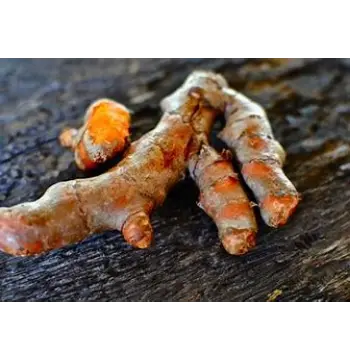 Fresh Turmeric Roots