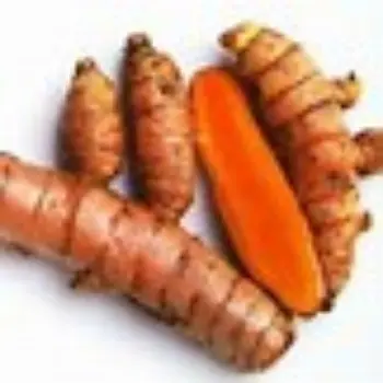 Turmeric Roots