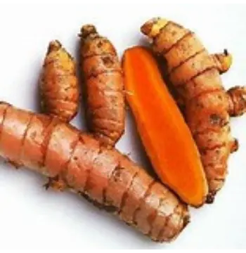 Fresh Turmeric Roots