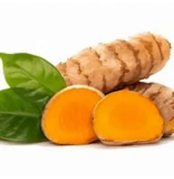 Fresh Turmeric Roots