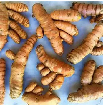 Organic Turmeric Roots
