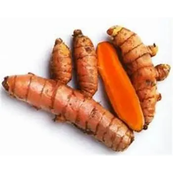 Fresh Turmeric Roots