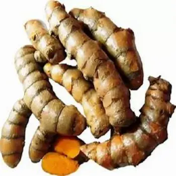 Fresh Turmeric Roots