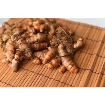 Turmeric Roots