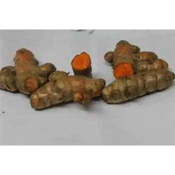 Fresh Turmeric Roots