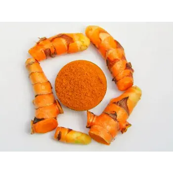 Common Turmeric Spent