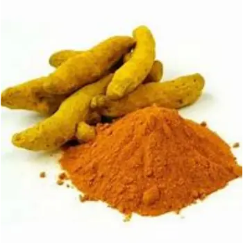 Common Turmeric Spent Supplier