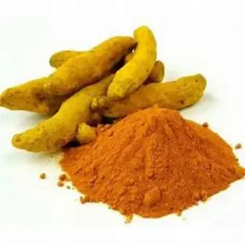 Turmeric Spent