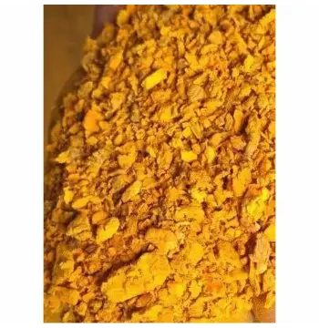 Fresh Turmeric Spent