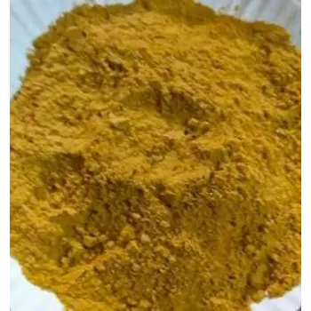 Fresh Turmeric Spent