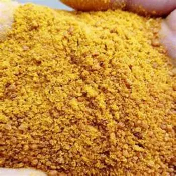 fresh Turmeric Spent