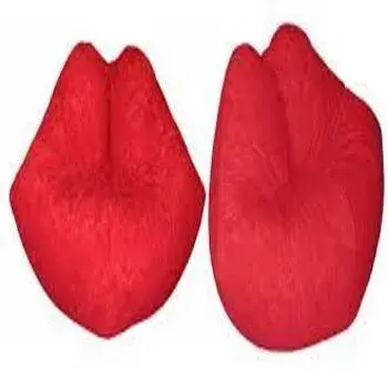 Lips Shaped  Bean Bag