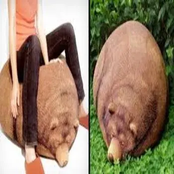 Bear Inspired Bean Bag