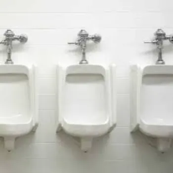 Solid Urinal