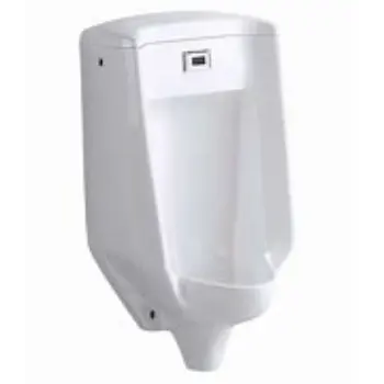 Polished Urinal