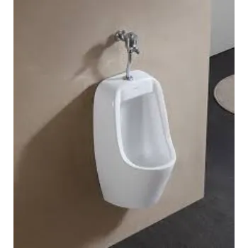 Coated Urinal