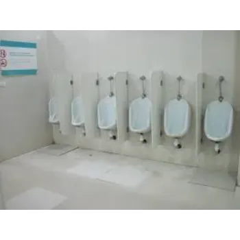 Gulshan Urinal