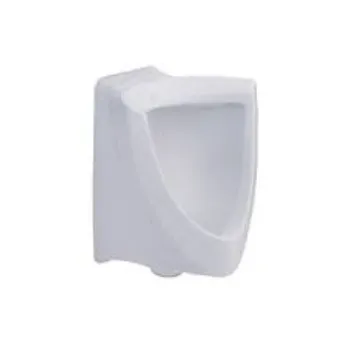 Coated Urinal