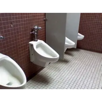Polished Urinal