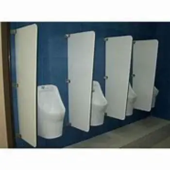 Polished Urinal Partition