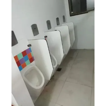 Polished Urinal Partition