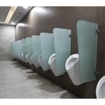 Solid Urinal Partition